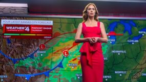 Emily Blunt in Disclosure Day.
