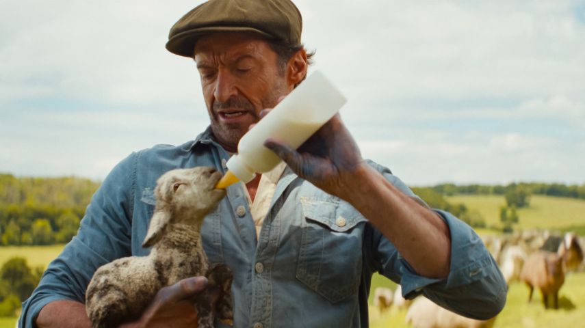 Hugh Jackman in The Sheep Detectives